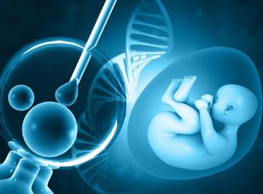 IVF laboratory